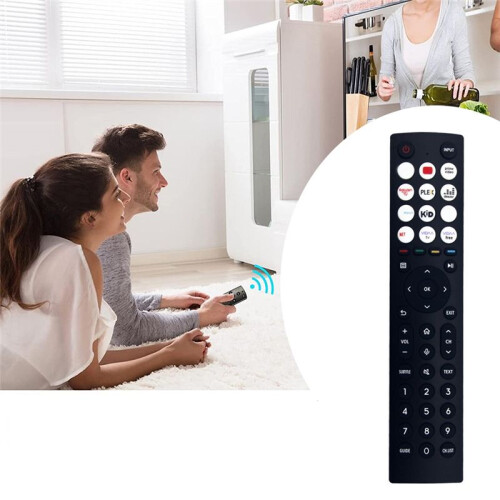 Télécommande de Remplacement ERF3A86 pour Télécommande pour   LED LCD TV Sans Voix 1