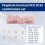 70pcs Wire Lug Connector Ring SC6-25 Copper Connectors Bare Cable Electric Crimp Terminal Connector Kit 7
