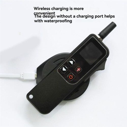 W8 Remote Control Waterproof 2.4G One-Way Electric Adjustment Dedicated Reverse Forward Backward PWM Screen 2