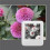2X NFC Function Keyring 1.54-Inch Three Color Display Screen Image Wireless Transmission Keychain Ink Screen 4