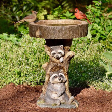 Bain d'oiseaux résistant aux intempéries, mini-piscine sur pied pour un oasis pour vos amis à plumes, élément décoratif multifonctionnel pour