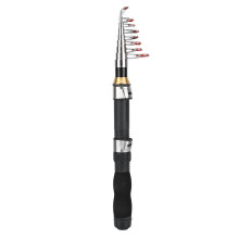 Portable Fishing Rod, High Strength Material Sea Fishing Tools with EVA Handle for Ice Fishing and Stream Bass Trout