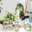 3 Pack Avocado Growing Kit, Glass Seed Starter Vase with Bamboo Base for Easy Sprouting Ref: 8867 5