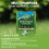 Gro Sure Lawn Seed 30m2+20% Fast Growing Grass 8