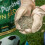 Gro Sure Lawn Seed 30m2+20% Fast Growing Grass 3
