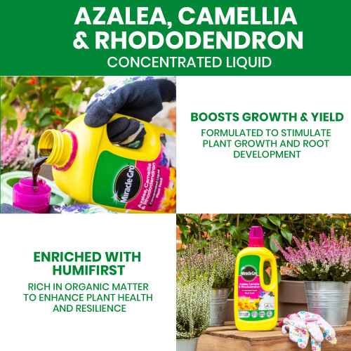 Miracle-Gro Miracle Gro Azalea Camellia & Rhododendron 800ML 2