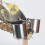 Pepper Station, Solid Wood Amusement Park Training Station, Bird Swinging Suspension Bridge, Puzzle Fun Game Rack 3