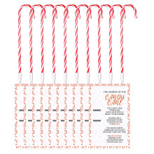 Sustainable Candy Cane Decorations Christmas Craft Project
