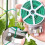 Durable Iron Wire Twist Ties for Multi-function Use, Eco-friendly PE Plastic Coating for Indoor and Outdoor Projects 4