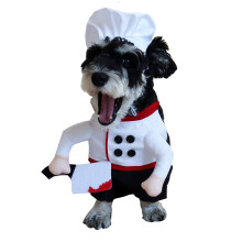 Pet Chefs Attire Removable Knifed Accessory Party Make Up-M