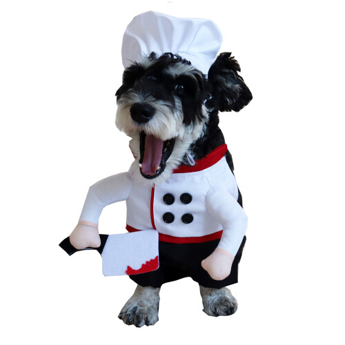 Pet Chefs Attire Removable Knifed Accessory Party Make Up-M