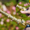 Solid Brass Garden Valve, Ergonomically Designed For Comfortable Grip, Full Flow Capability And Wide Application In Various Gardening Tasks 4