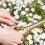 Solid Brass Garden Valve, Ergonomically Designed For Comfortable Grip, Full Flow Capability And Wide Application In Various Gardening Tasks 5
