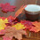 50Pcs Bright Colored Faux Maple Leaf Models With Natural-11 6