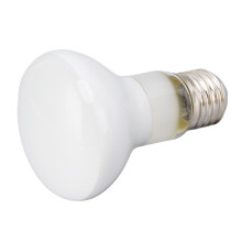 Ampoule chauffante UVA 100W E27 Durable, étanche et sécurisée pour reptiles, idéale pour les tortues