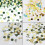 Pack of 100 Biodegradable Paper Leaf Confetti-mr mrs 5