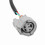 TPS Adapter-Kabelbaum K20/K24 auf B-Serie ABS 5