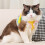 Breathable Large Dog Harness for Small Dogs No Pull Design-L 6 4