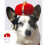 1St Rood Pet Kroonhoedje Elastisch Materiaal Cosplay 2