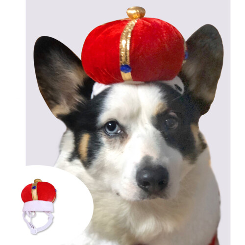 1St Rood Pet Kroonhoedje Elastisch Materiaal Cosplay 1