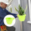 1 Type Plantenpot Praktische Bloemhouder 6