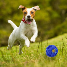 Interaktiver Hundeball, fördert die geistige Entwicklung durch integrierte Magnetkugel und rutschfeste Sägezahnoberfläche für mehr Spielspaß und