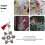 Sewing Thread Winding Plate Board Metal Yarn Weaving Tool 5