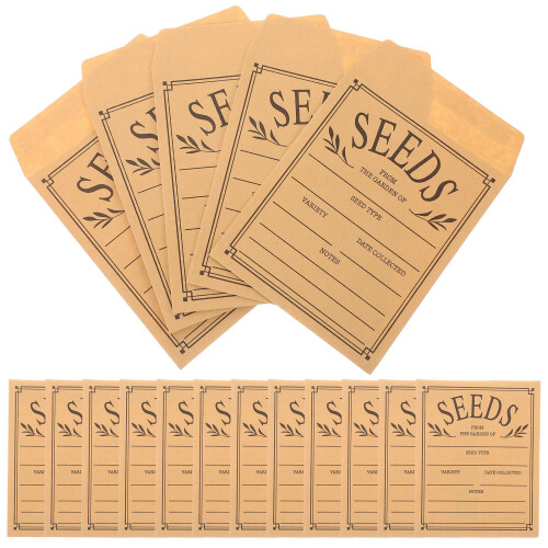 100 Pcs Sealing Envelopes Paper Packets Paper Coins Packets