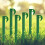 Reusable Biodegradable Stakes, Multi-Purpose: Camping, Gardening, Landscaping For Cost-Efficient Outdoor Solutions 3