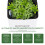 1Conjunto Decorativo Suspenso Plástico Para Plantas 4