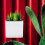 1Conjunto Decorativo Suspenso Plástico Para Plantas 3
