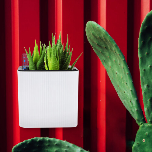 1Conjunto Decorativo Suspenso Plástico Para Plantas 2