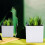 1Conjunto Decorativo Suspenso Plástico Para Plantas 2