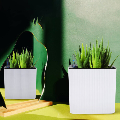 1Conjunto Decorativo Suspenso Plástico Para Plantas 1