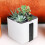 1Set Sospeso in Bianco Con Assorbimento Acqua Per Piante 5