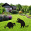 Metall-Waschbär-Gartenstecker für den-hockender Waschbär 4