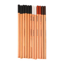 12 crayons à dessin en bois avec carbone pour étudiants en arts, qualité professionnelle