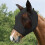 Εξελιγμένη μάσκα προστασίας από μύγες Horse Eye, ελαστική μάσκα μυγών με προστασία UV, 4