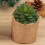 Convenient Drawstring Linen Plant Protect Sacks Effective Bag 5