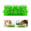 Cats Lick Pad With Suctions Cup Slow Feeders Sniffing Mat Grass 2