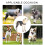 Comfortable Dog Sleeve Guards Against Licking Multiple Size-XXL 4
