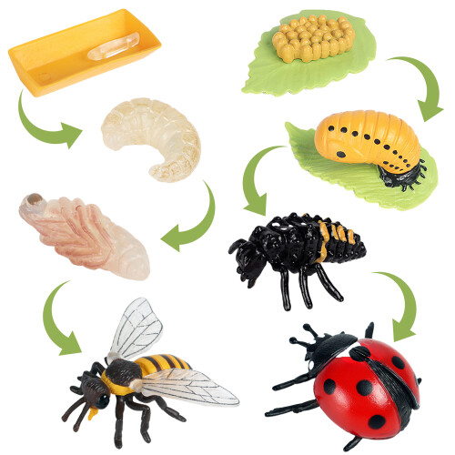 Joygoodta Insectes en Plastique réalistes, 12 pièces, Jouets pour Enfants, fête d'anniversaire à thème