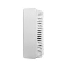 Reliable Detection CO Leak Detector Easy Installation Carbon