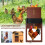 Automatic Chicken Coop Door, Energy Saving Design Reduces Costs, Programmable Lcd Screen Offers Personalization, Aluminum Alloy Structure For 3
