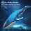 Remote Control Whale Diving Toy 2.4G, Blue, 8.5oz, 3.7V Battery 4