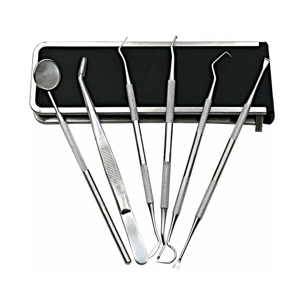 Dental Hygiene: 6PCS Premium Oral Care Kit, Stainless Steel Instruments for Tartar & Plaque Removal, Ergonomic Design, Non-Slip Grip, for Personal &