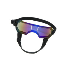 Windschützende Hundesonnenbrille, kleine-Lila M