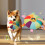 Duurzaamheid Hondenspeelgoed Kleine hond Interactief-eend 6