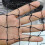 Scratch Resistant Cats Mesh for Window and Balconies-S 5
