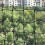 Protective Cats Protective Netting for Indoor and Outdoor Use-M 6